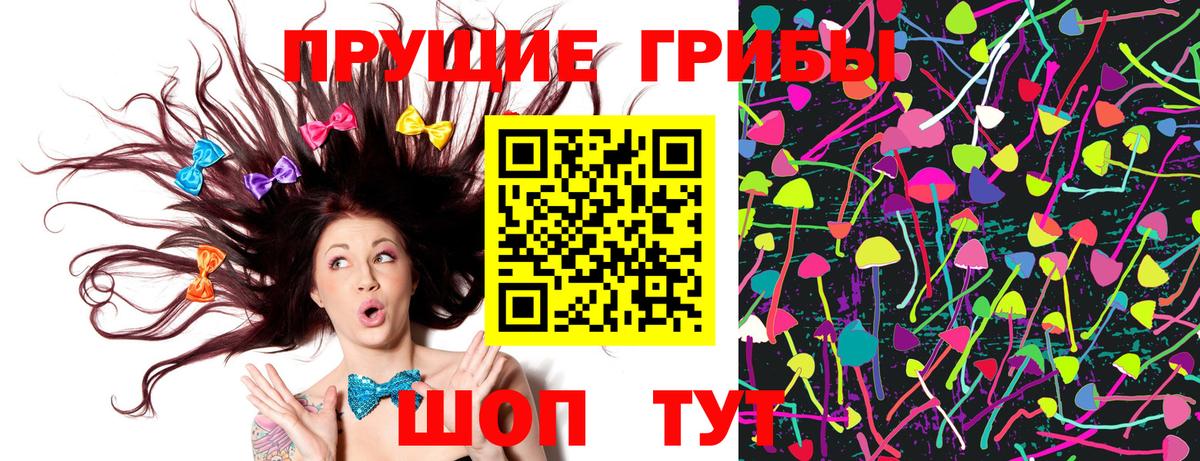 Галлюциногенные грибы Psilocybine cubensis Шарыпово