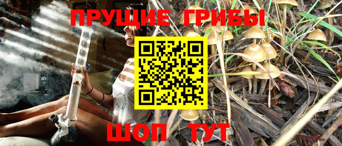 Галлюциногенные грибы MAGIC MUSHROOMS  Вход с VPN  Галлюциногенные грибы Magic Shrooms  магазин  наркотиков  Шарыпово 